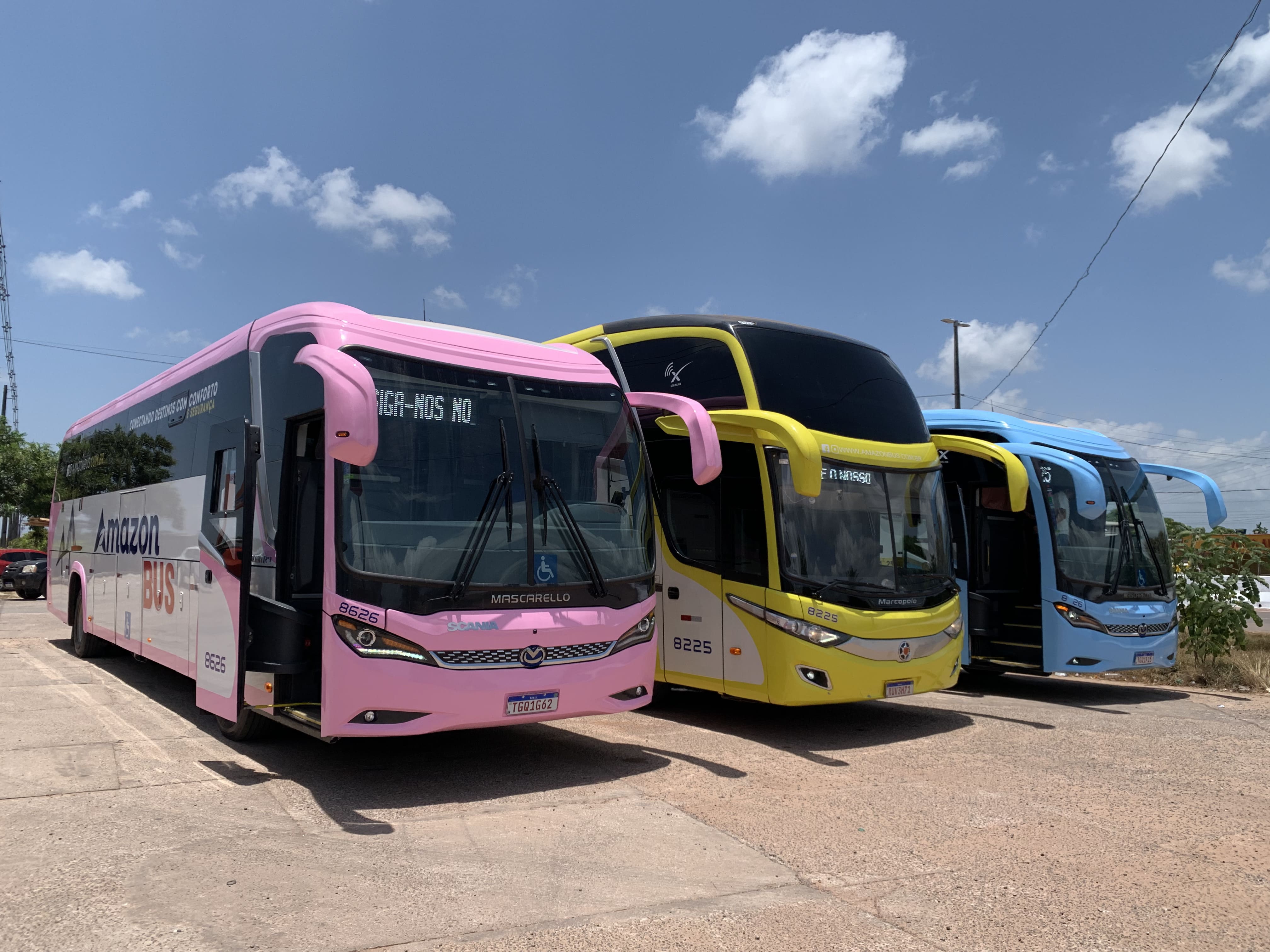 Amazonbus